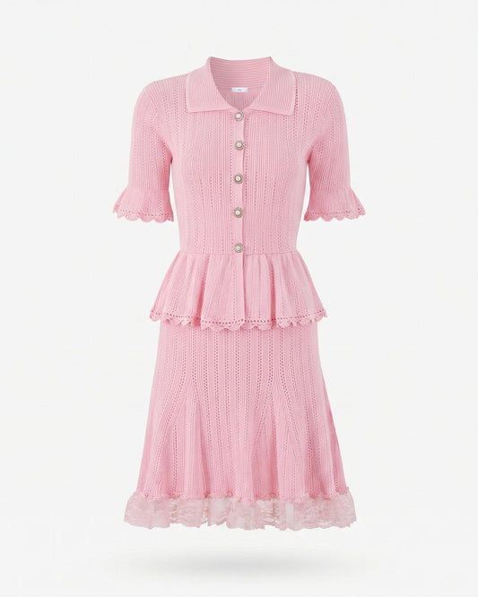 Dina Short Sleeve Stretch Knit Dress with Lace Detailing