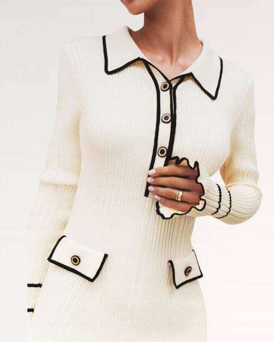 Village Old Money Puff Sleeve Dress with Fitted Bodice