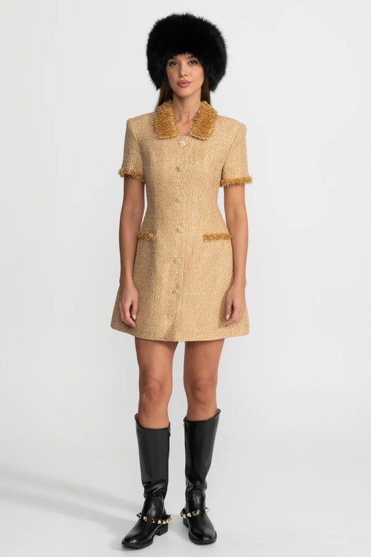 Metallic Tweed A-Line Mini Dress with Fringe Trim – Gold – view 2