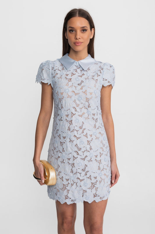 Floral Lace Satin Peter Pan Collar Fitted Mini Dress – Light Blue