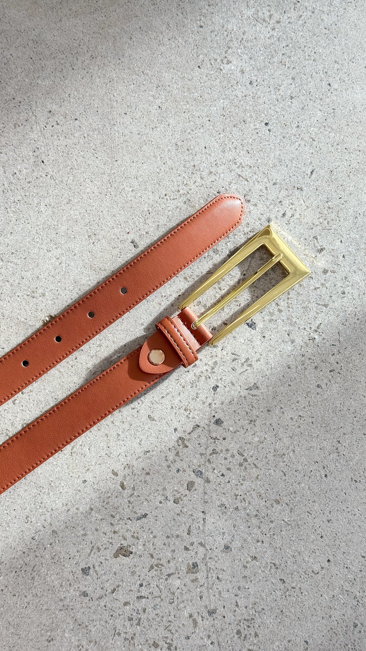 Stacey Faux Leather Belt with Gold Detailing – Latte – view 3
