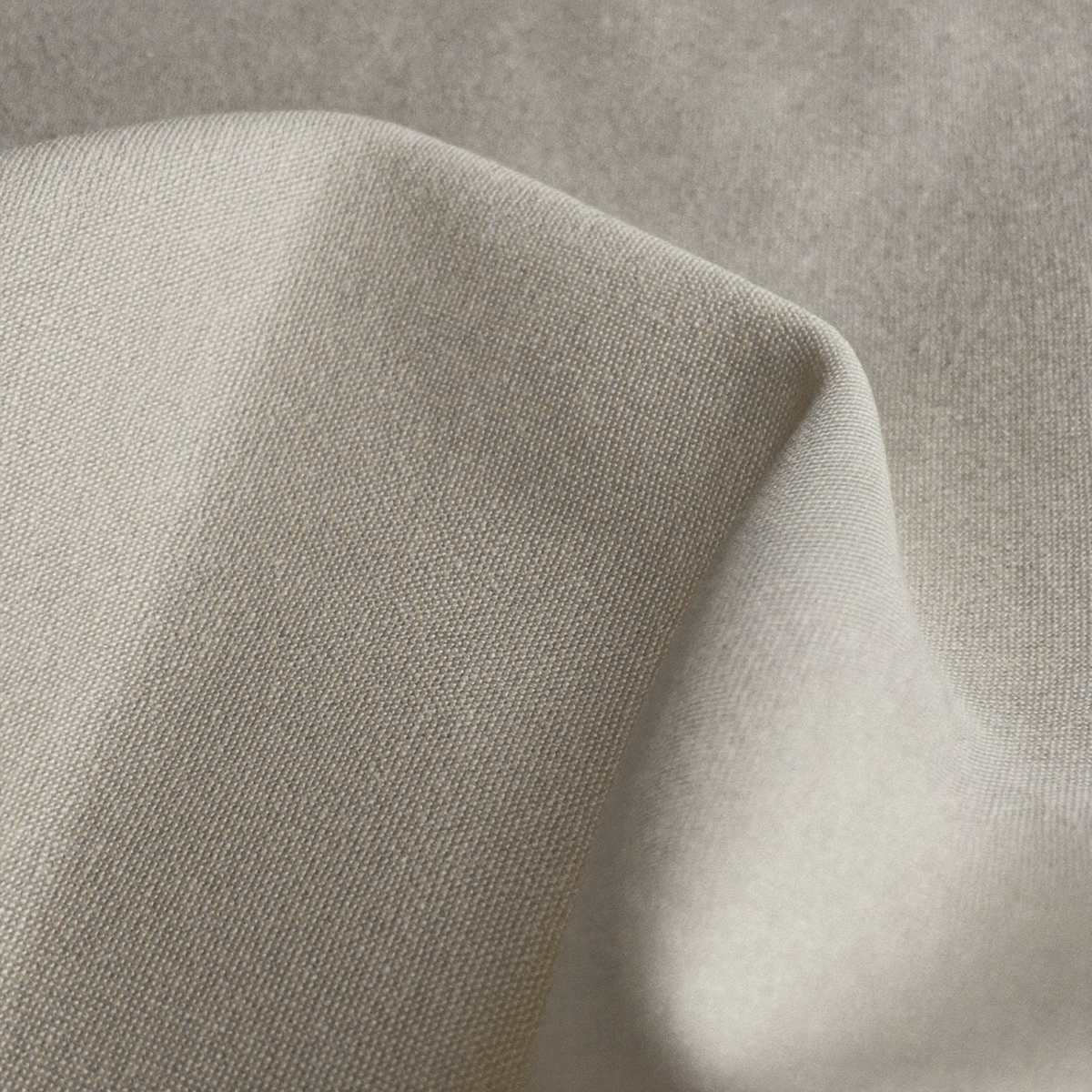 Ivory cotton poplin close-up