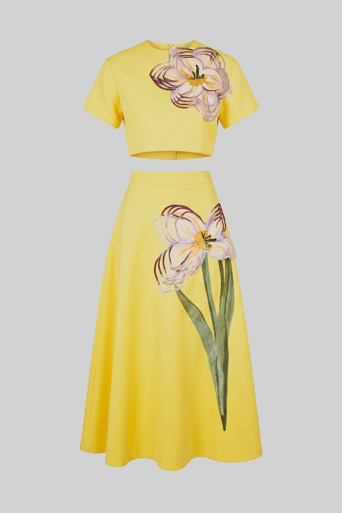 Iris Floral Print Crop Top and A-Line Maxi Skirt Co-ord Set – Yellow – view 2
