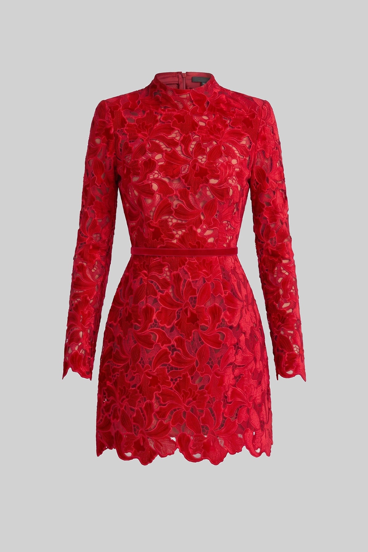 Long Sleeve Floral Lace Mini Dress with High Neck and Scalloped Hem – Red